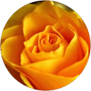 Tamima Masroora profile picture